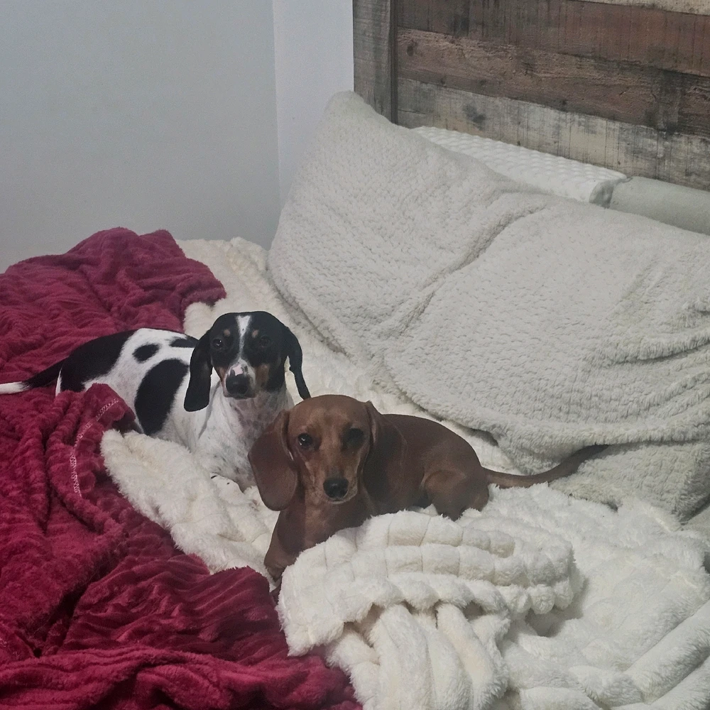 Image uploaded by Jessy