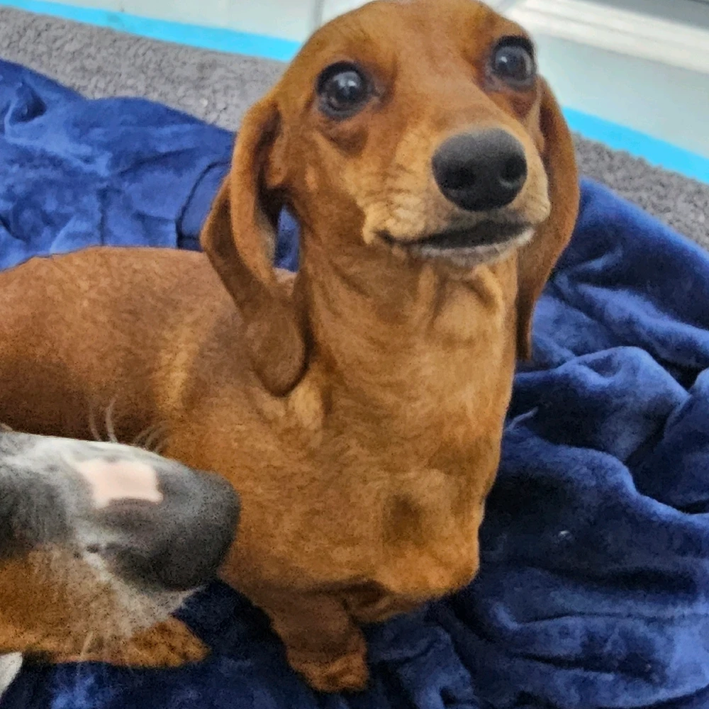 Image uploaded by Jessy