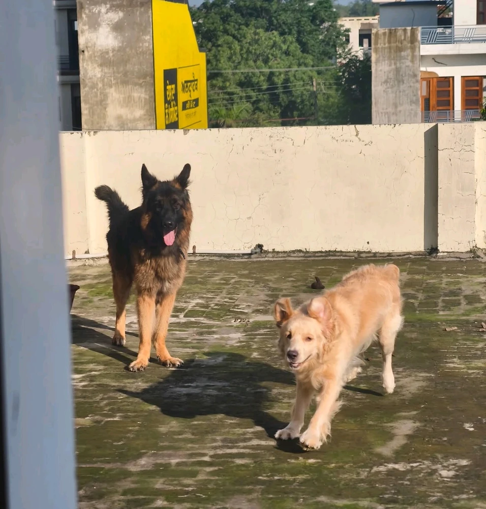 Image uploaded by John Paul Bennett