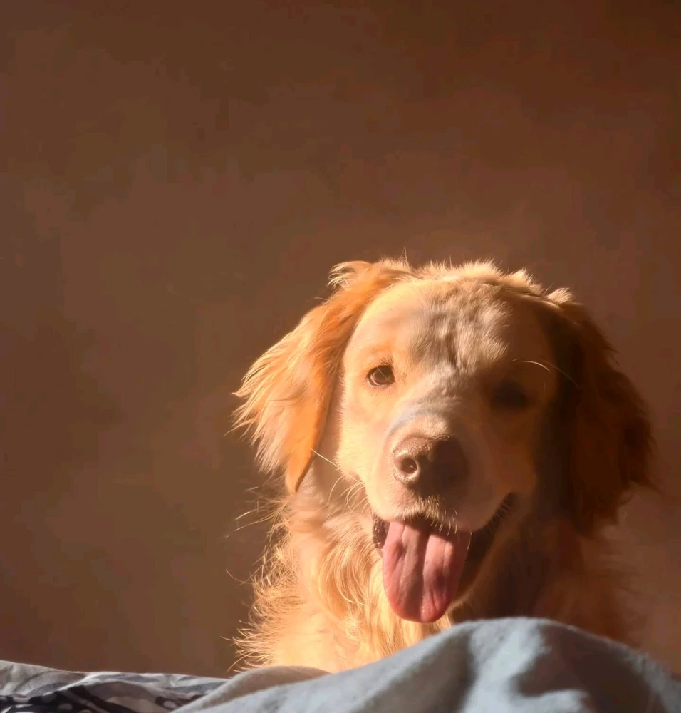 Image uploaded by John Paul Bennett