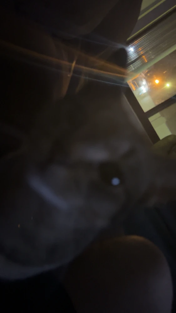 GIF uploaded by Daniel