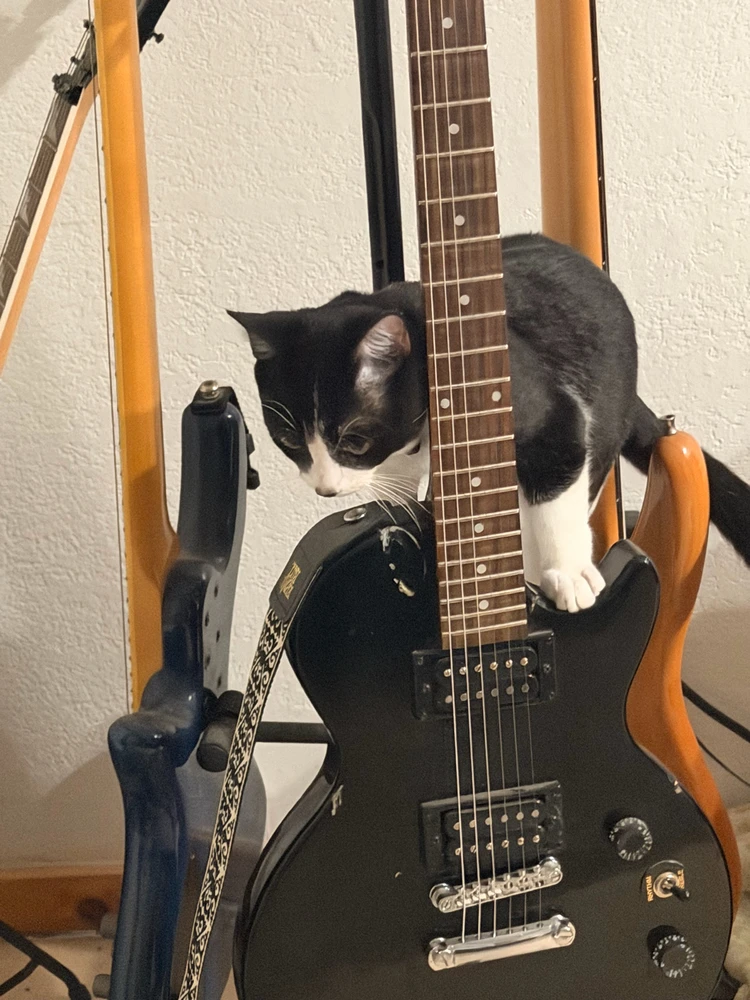 GIF diunggah dening Lauren