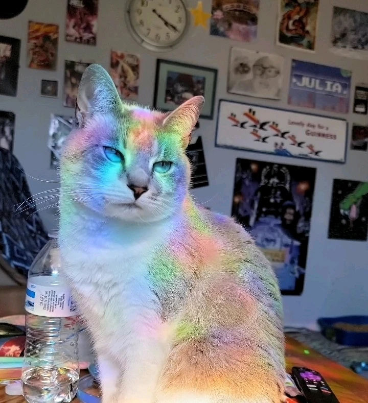 GIF uploaded by Brandon