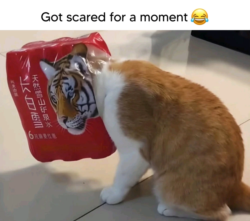 GIF uploaded by Andy