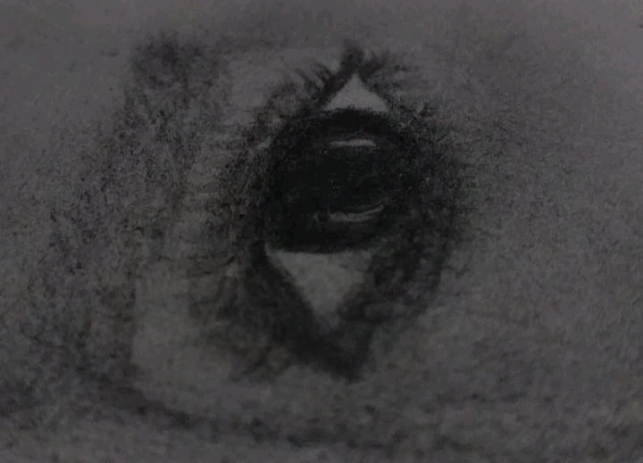 Image uploaded by Ygen