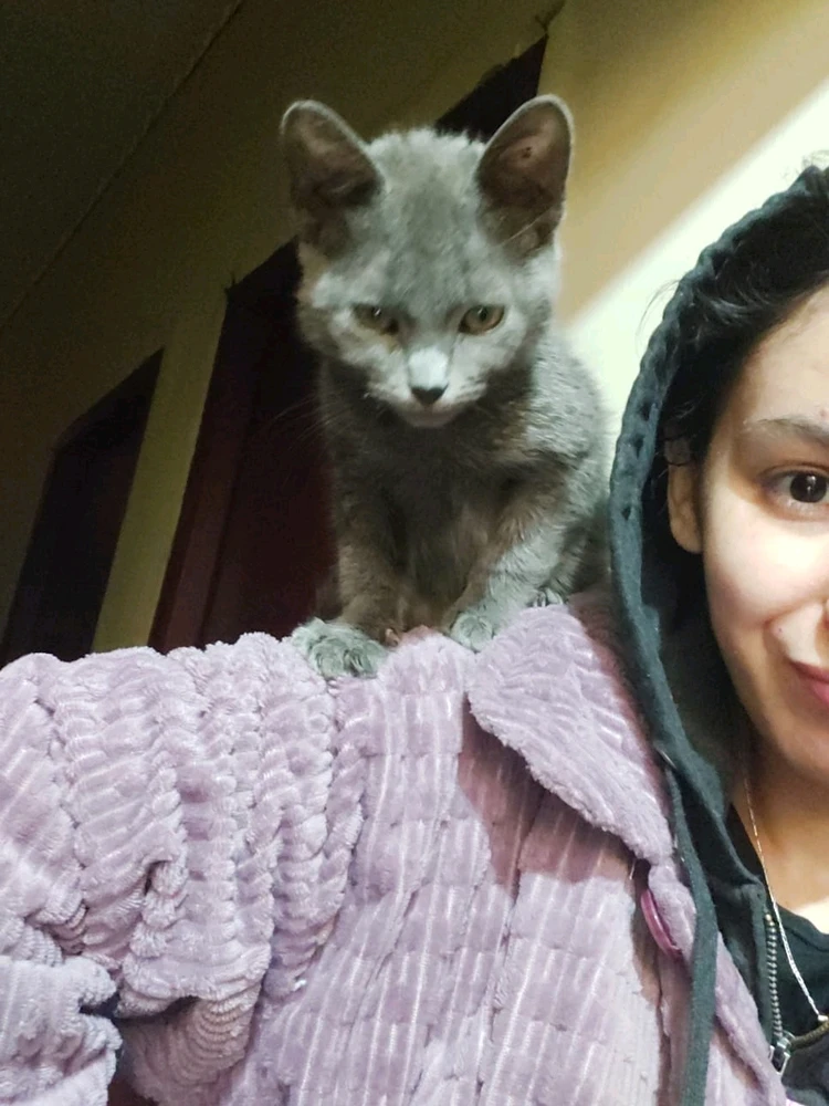 Image uploaded by Rima