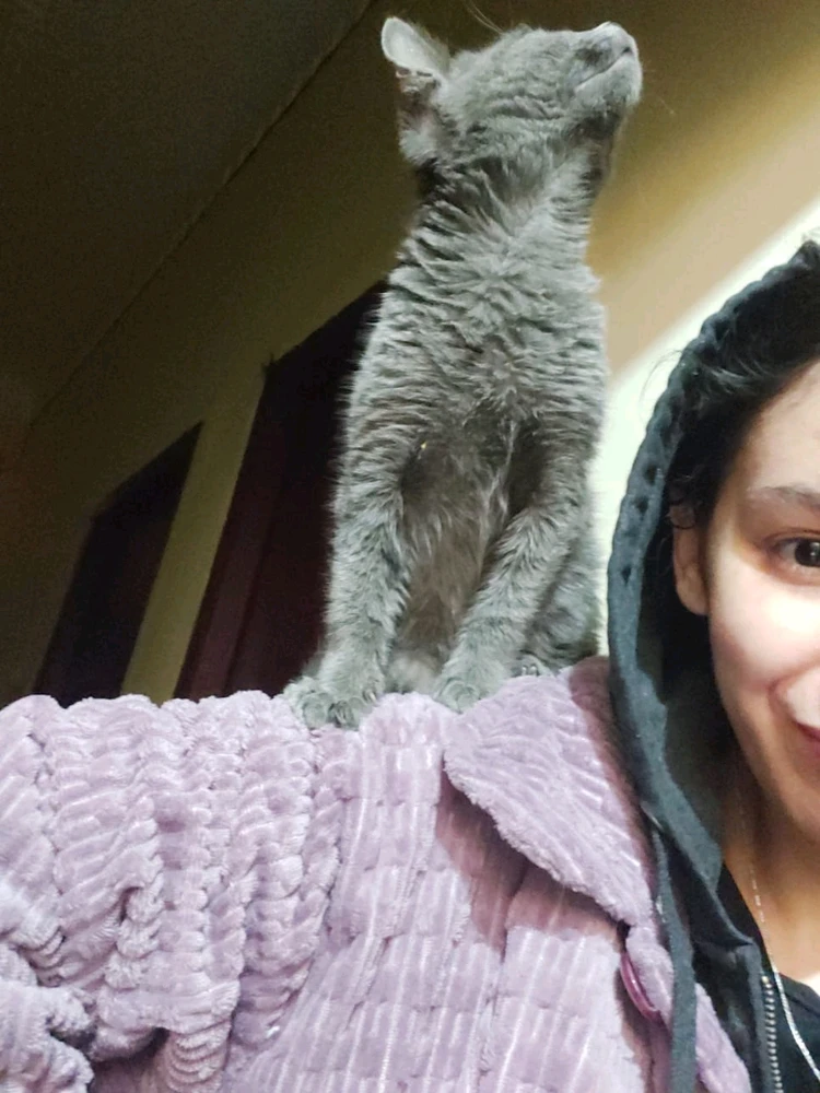 Image uploaded by Rima