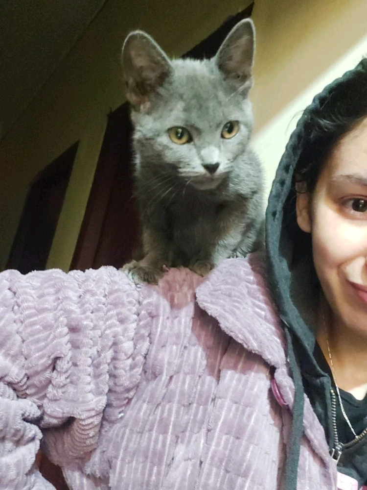 Image uploaded by Rima