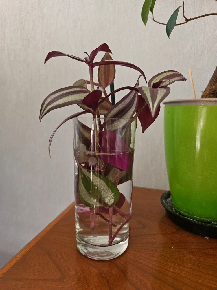 GIF dodany przez Patryk