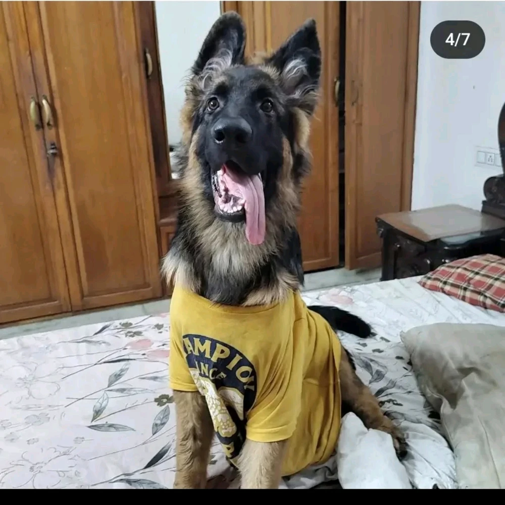 Image uploaded by John Paul Bennett