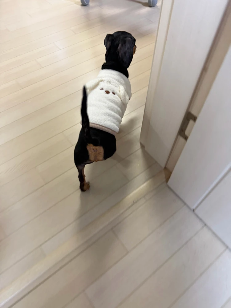 Minseok님이 올린 GIF