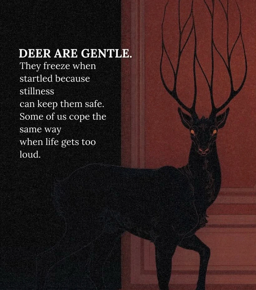 GIF uploaded by Tara