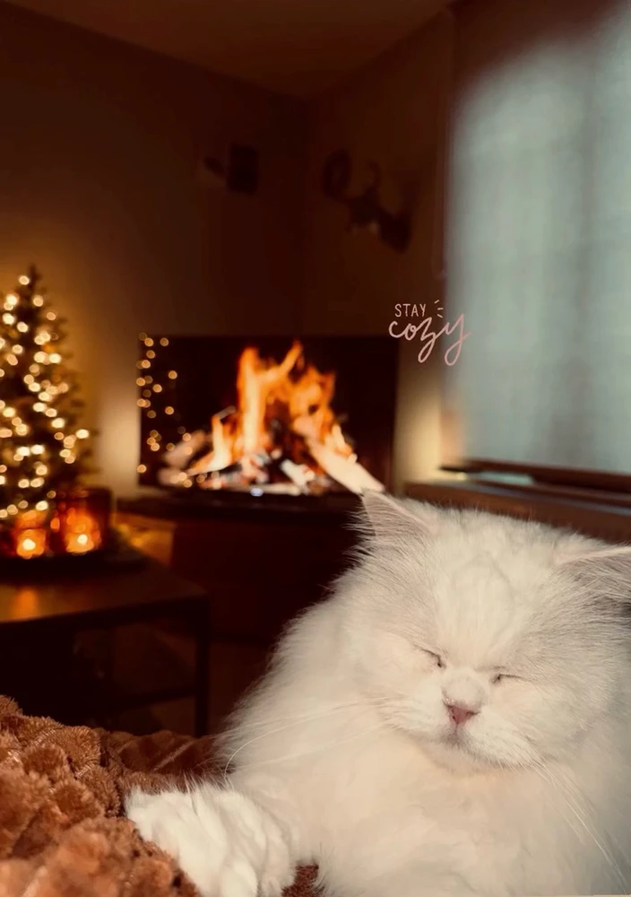 GIF geüpload door Brend