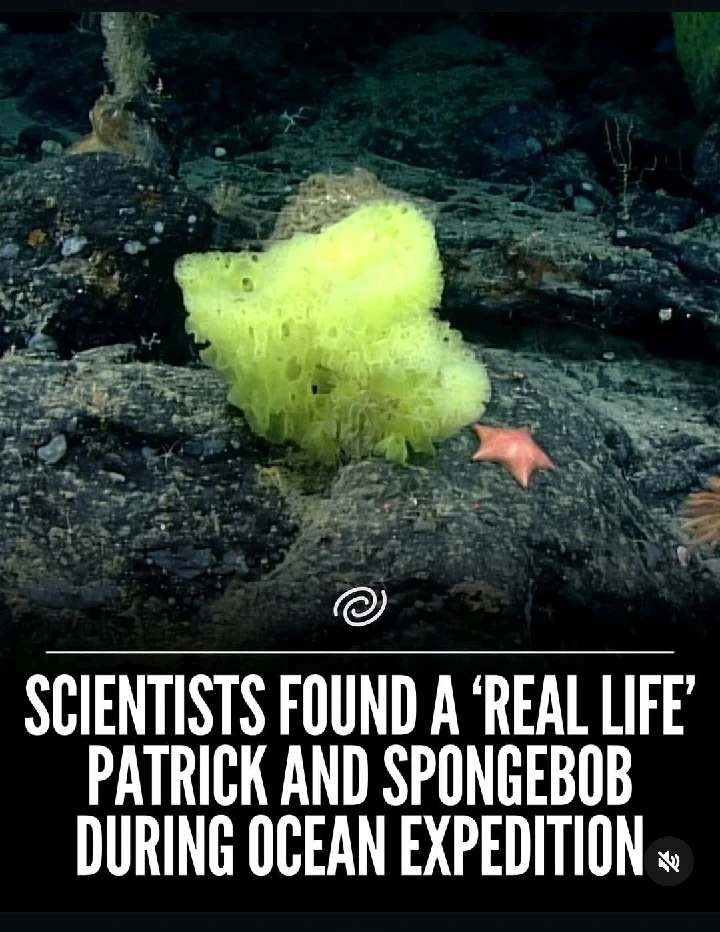 GIF uploaded by 𝓢𝓮𝓻𝓮𝓷 • 𝓢𝓮𝓻𝓮𝓷𝓭𝓲𝓹𝓲𝓽𝔂