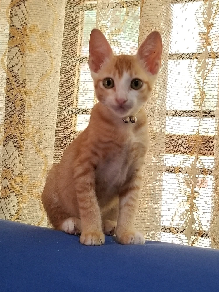 GIF uploaded by Dulara Madhuranga