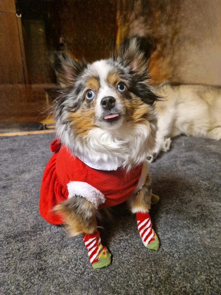 GIF uploaded by Aurora