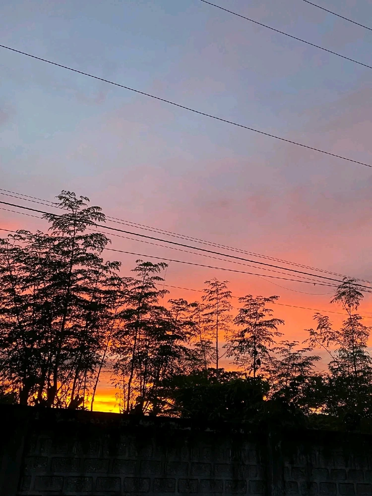 Image uploaded by Jocelyn