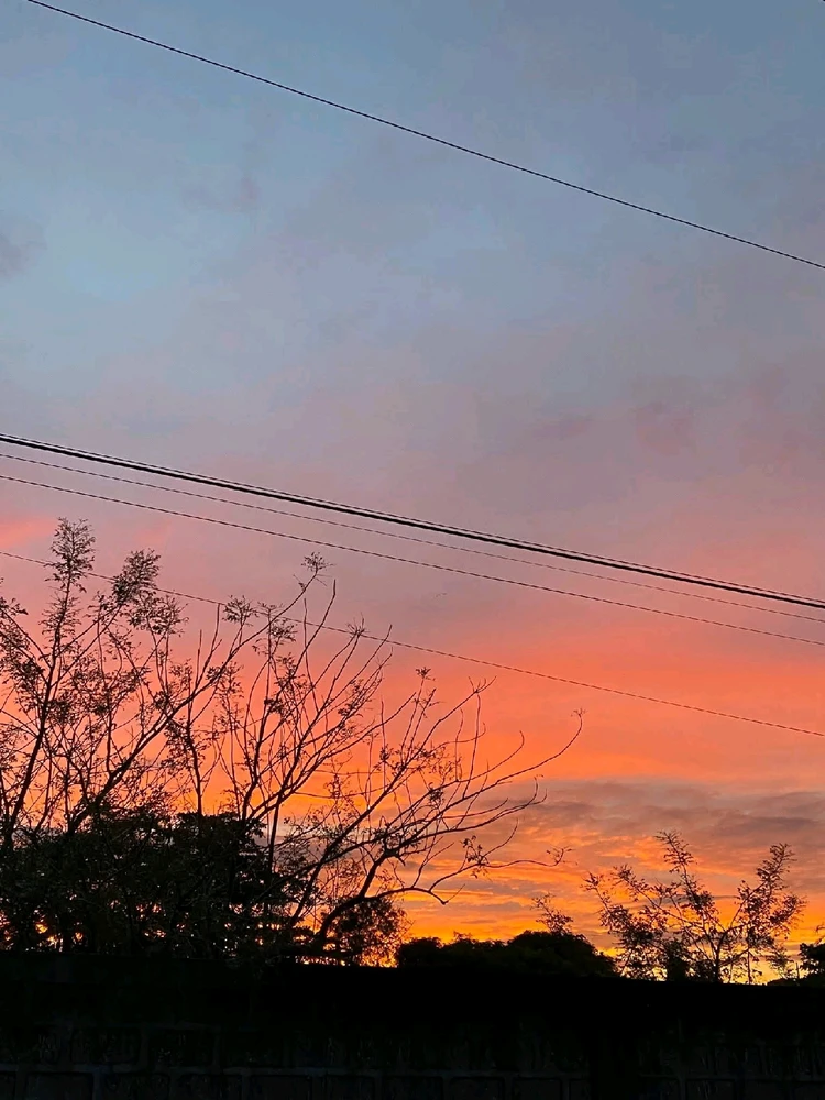 Image uploaded by Jocelyn