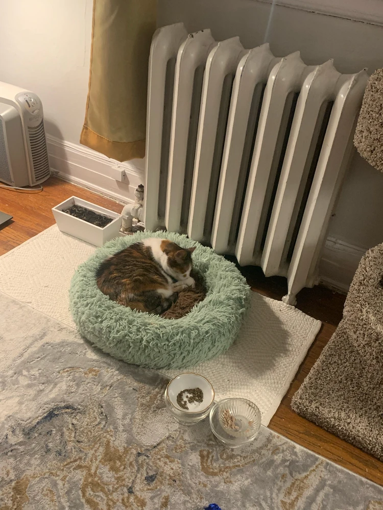 GIF uploaded by Jessica