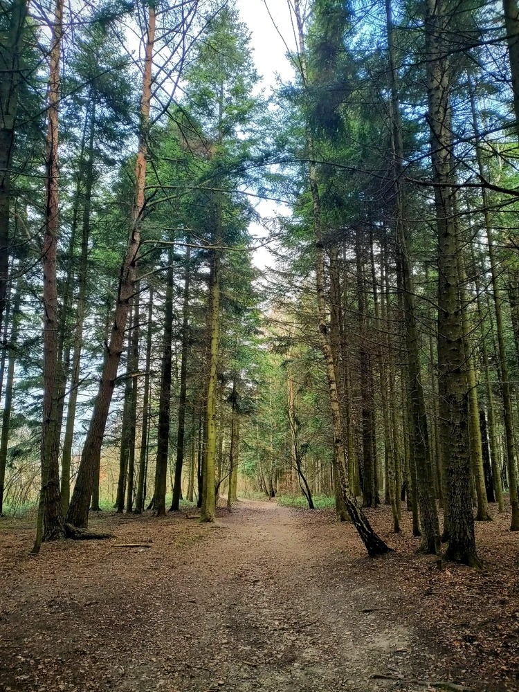 GIF dodany przez Igor