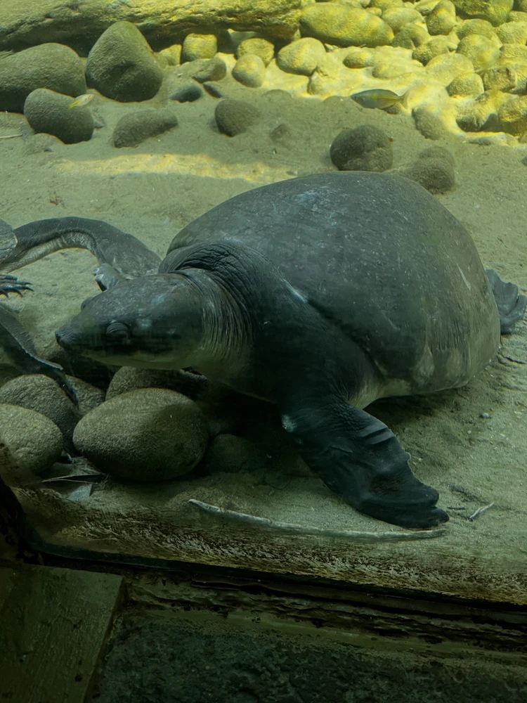 GIF uploaded by Zackary