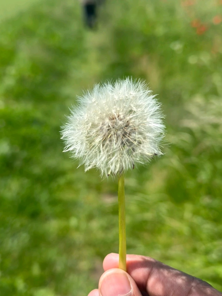 GIF uploaded by Deva