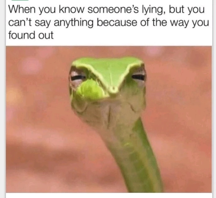 GIF uploaded by °~°