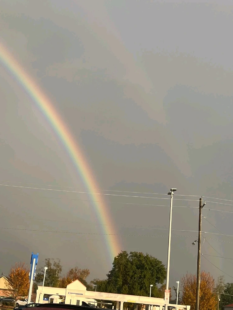 Image uploaded by Bruce elliott