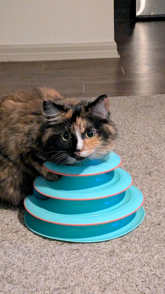 GIF uploaded by Keith