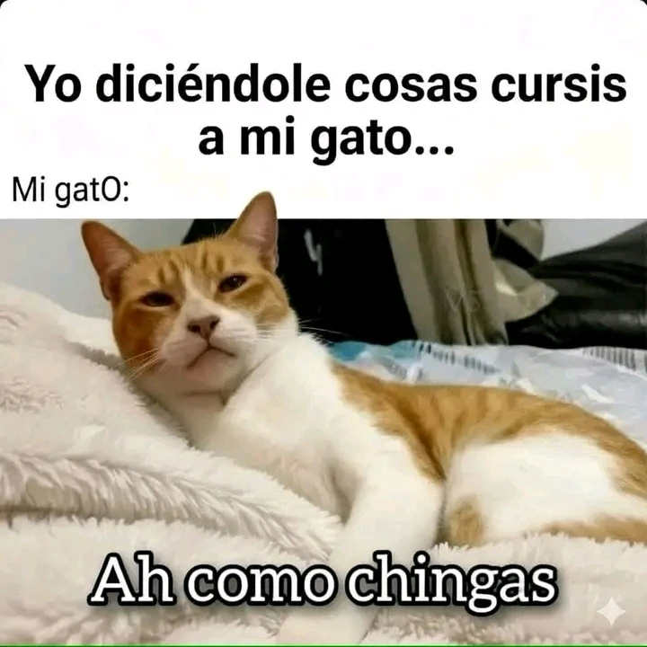 GIF subido por Venus7