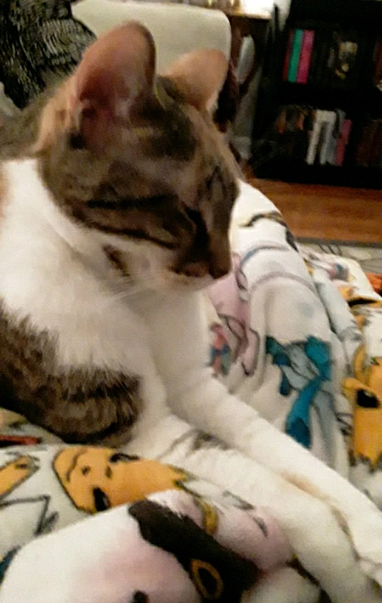 GIF uploaded by James