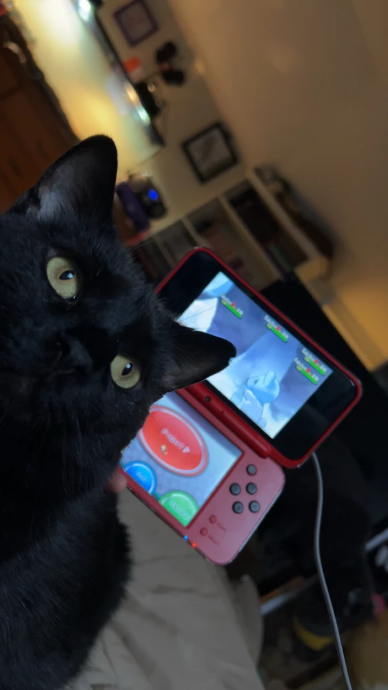 GIF uploaded by Nikki