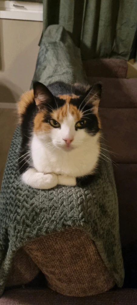 GIF uploaded by Hans