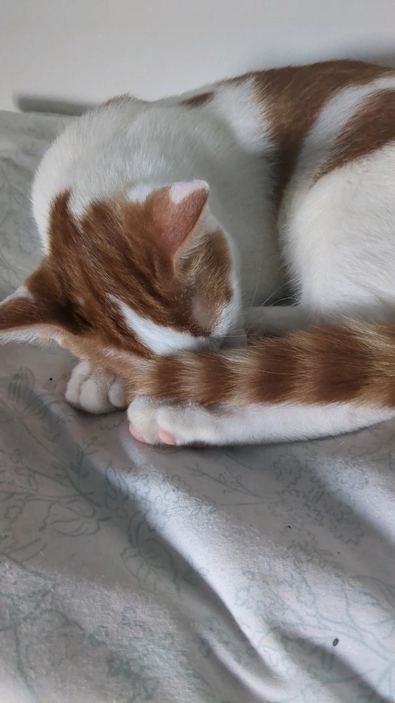 GIF uploaded by Bernie