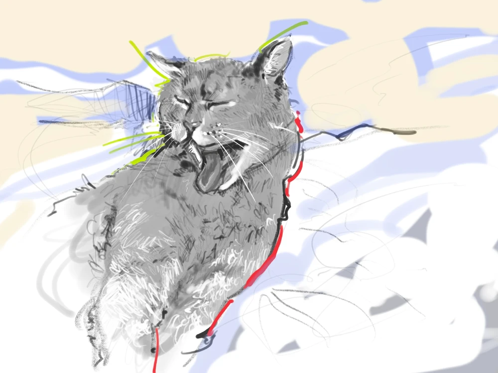 GIF uploaded by Minja