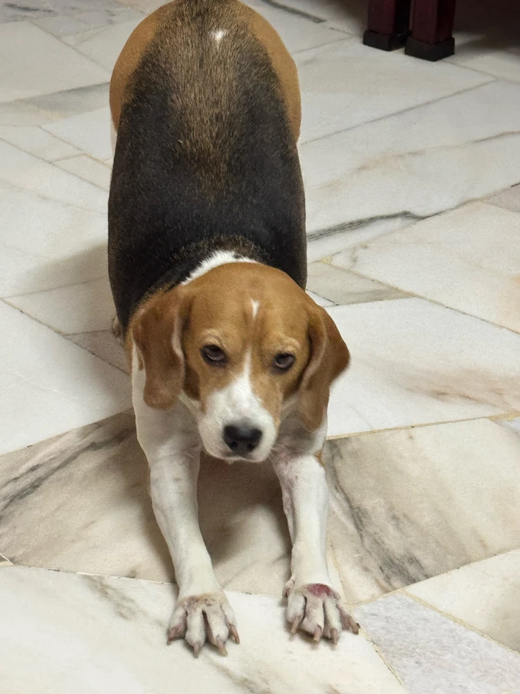 GIF uploaded by Sally