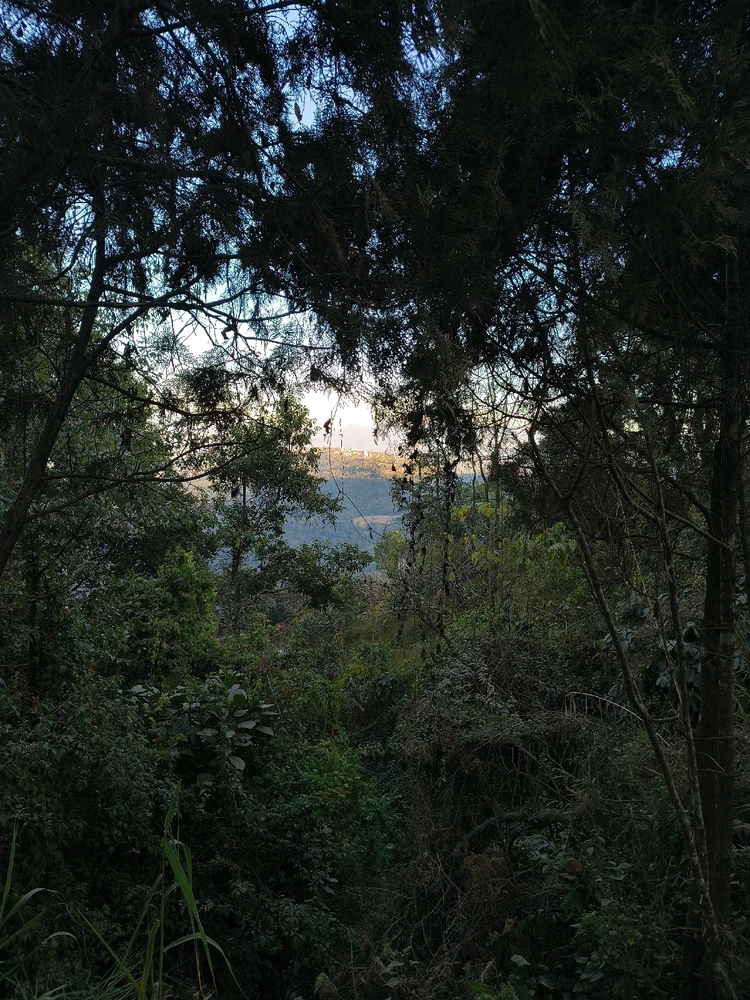 Image uploaded by Prasanna