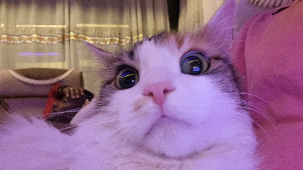 Image uploaded by King