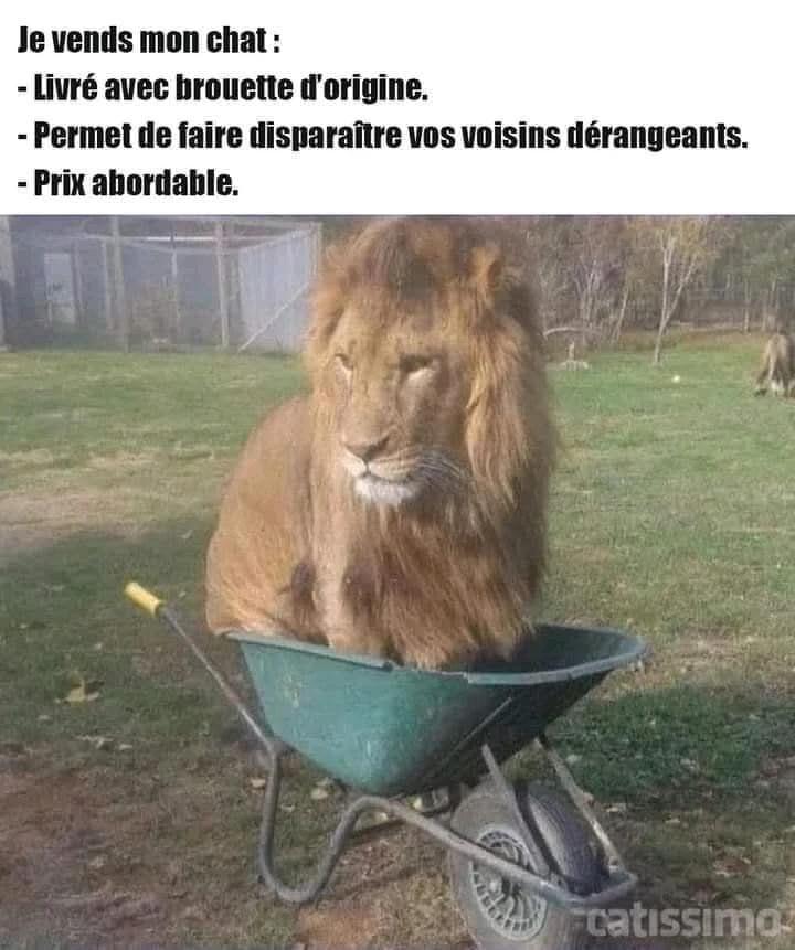 GIF ajouté par Mikaël