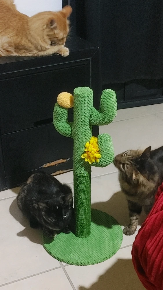 GIF uploaded by โค Sophia aka Mango Mami โค๏ธ