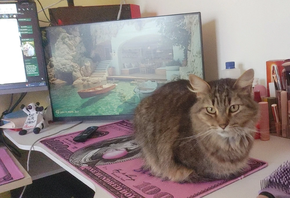 Image uploaded by ❤ Sophia aka Mango Mami ❤️