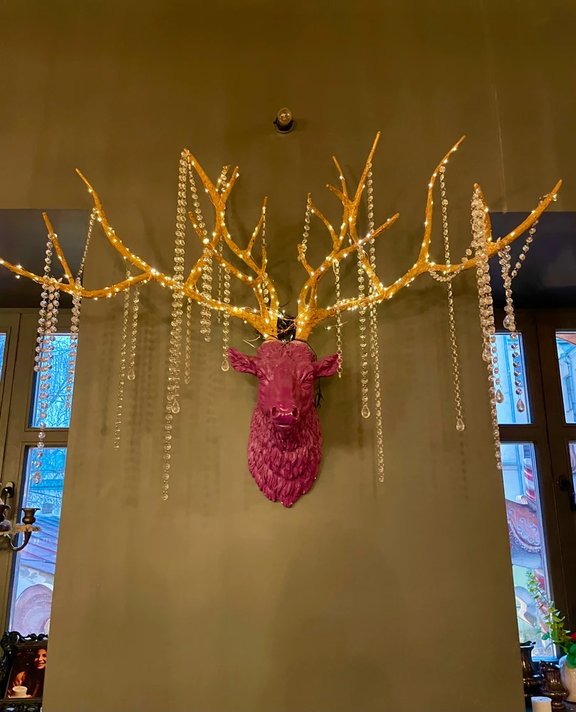 Image uploaded by Olga