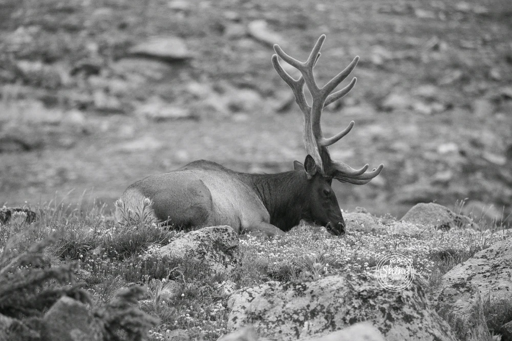 Image uploaded by Jacqueline