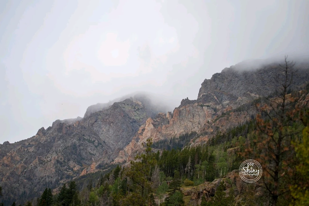 Image uploaded by Jacqueline