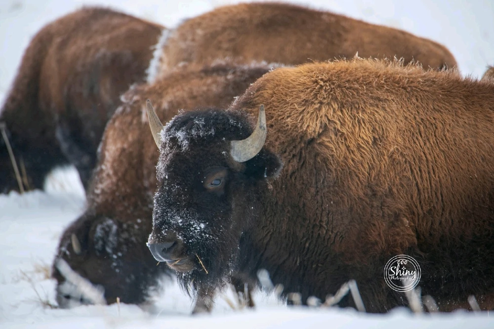 Image uploaded by Jacqueline