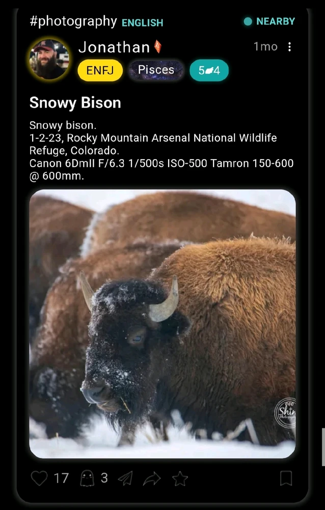 Image uploaded by Jacqueline