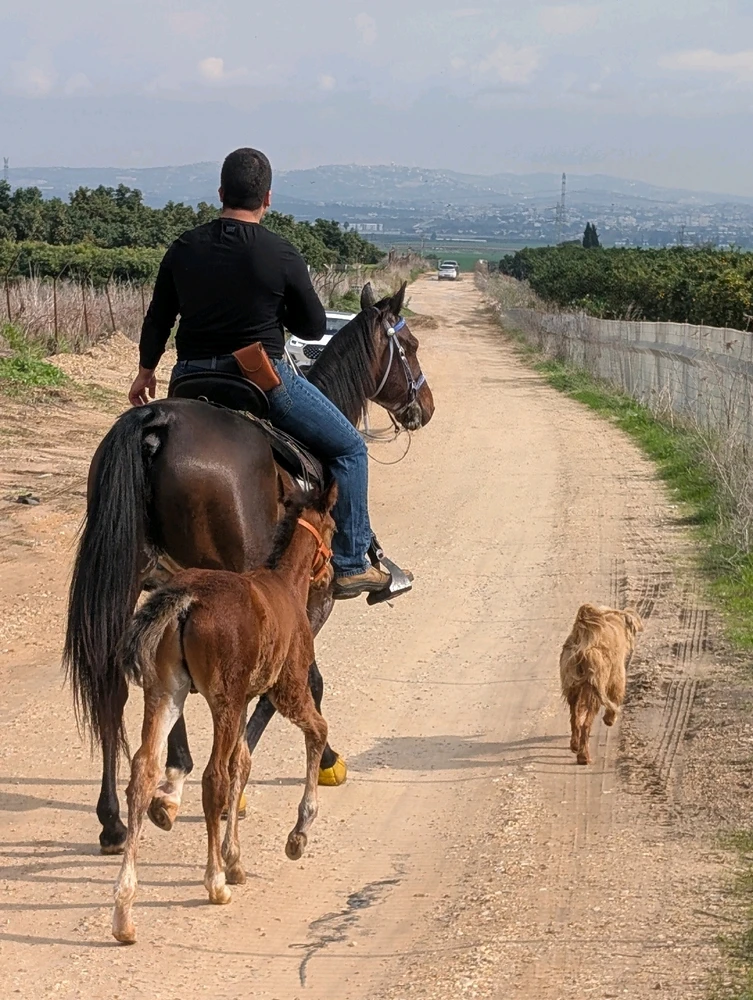 GIF uploaded by Aviv