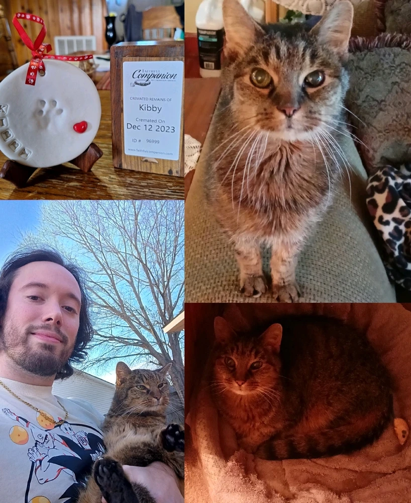 GIF uploaded by Cory