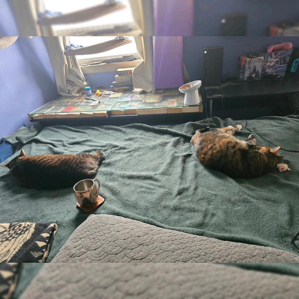 GIF uploaded by Tarik