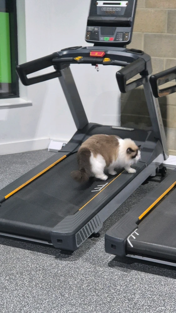 Image uploaded by Chris